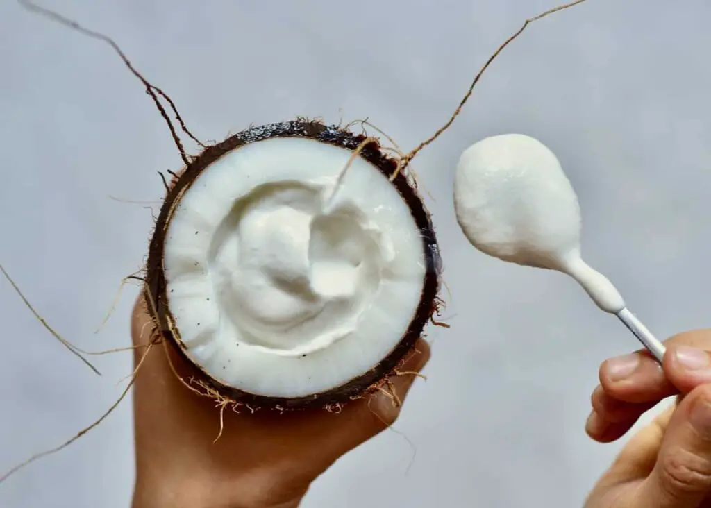 Coconut Milk or Yogurt