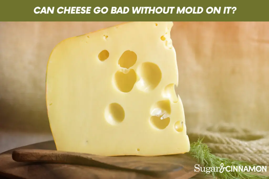 Can Cheese Go Bad Without Mold On It?