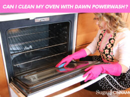 Can I Clean My Oven With Dawn Powerwash?