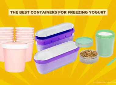 The Best Containers For Freezing Yogurt