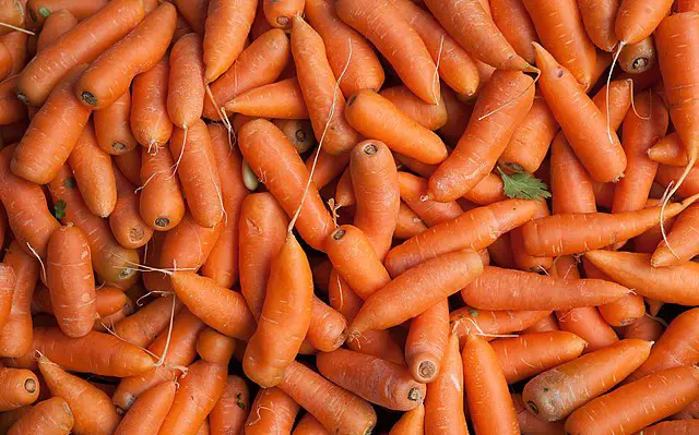 Carrot Tastes Like Soap Explained