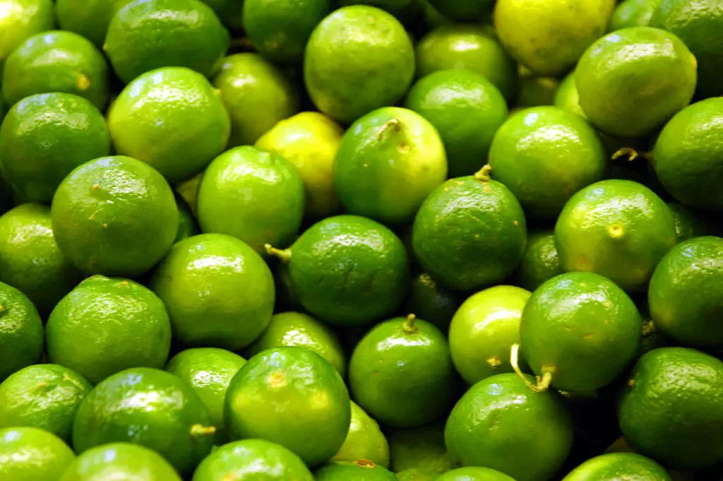 How Long Do Limes Last?